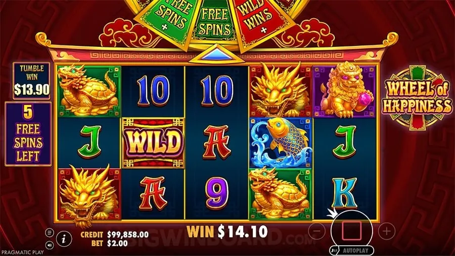 bingoplus Live Betting Interface