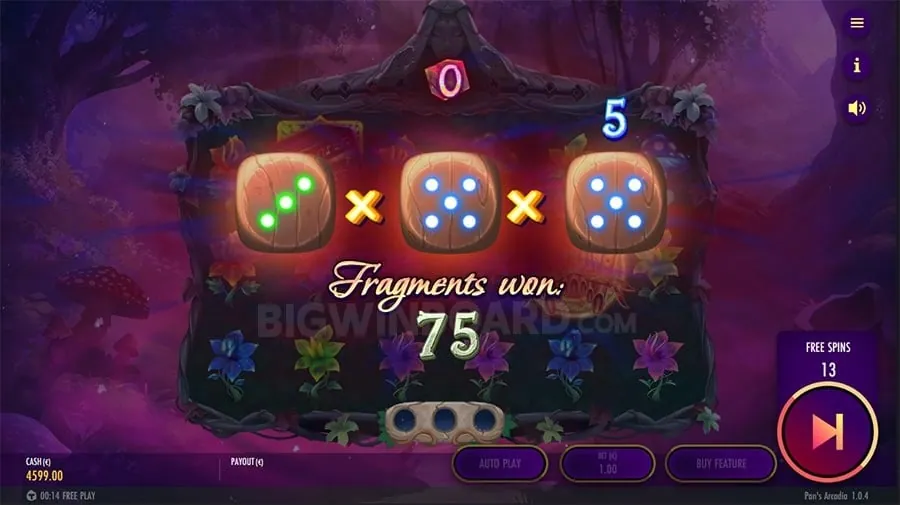 bingoplus Tournament Winner