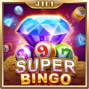 bingoplus Live Casino
