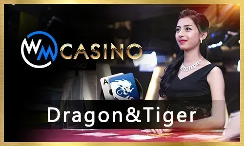 Bingoplus Bingo Promotions